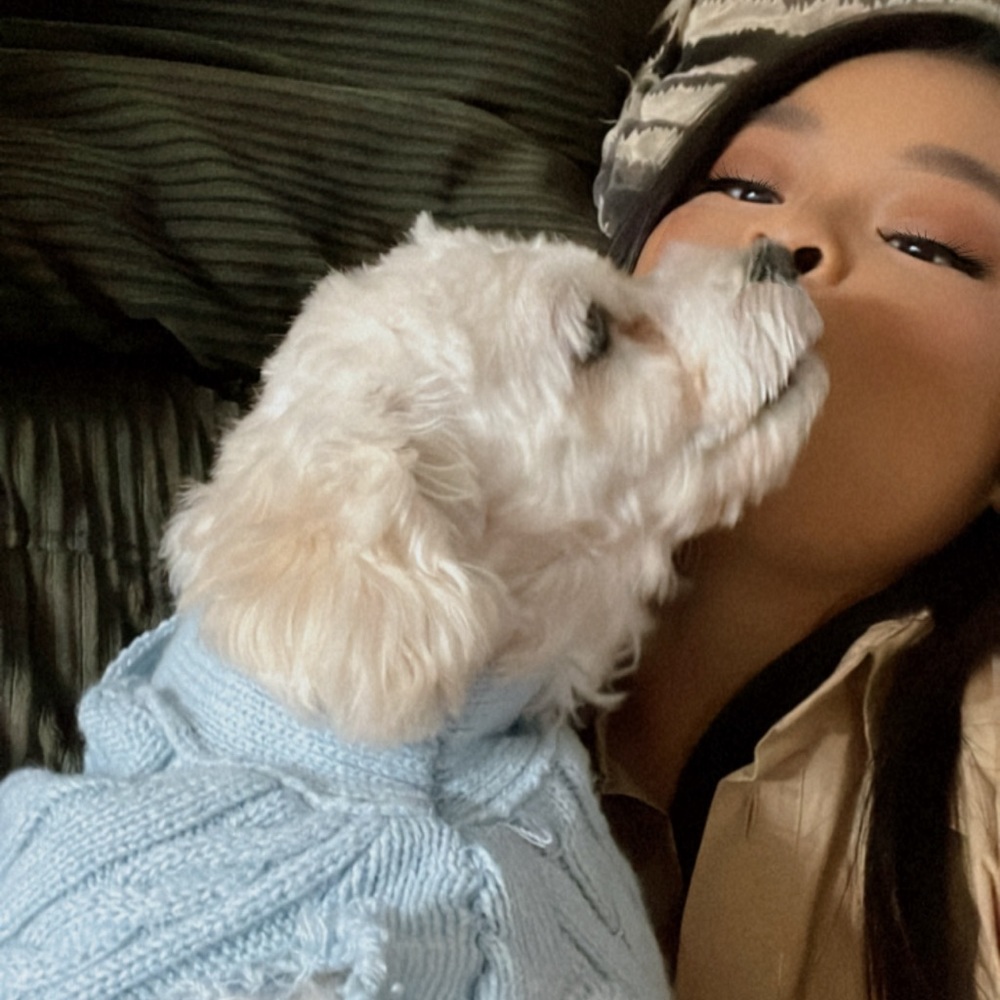 Meet your Posher, Dina